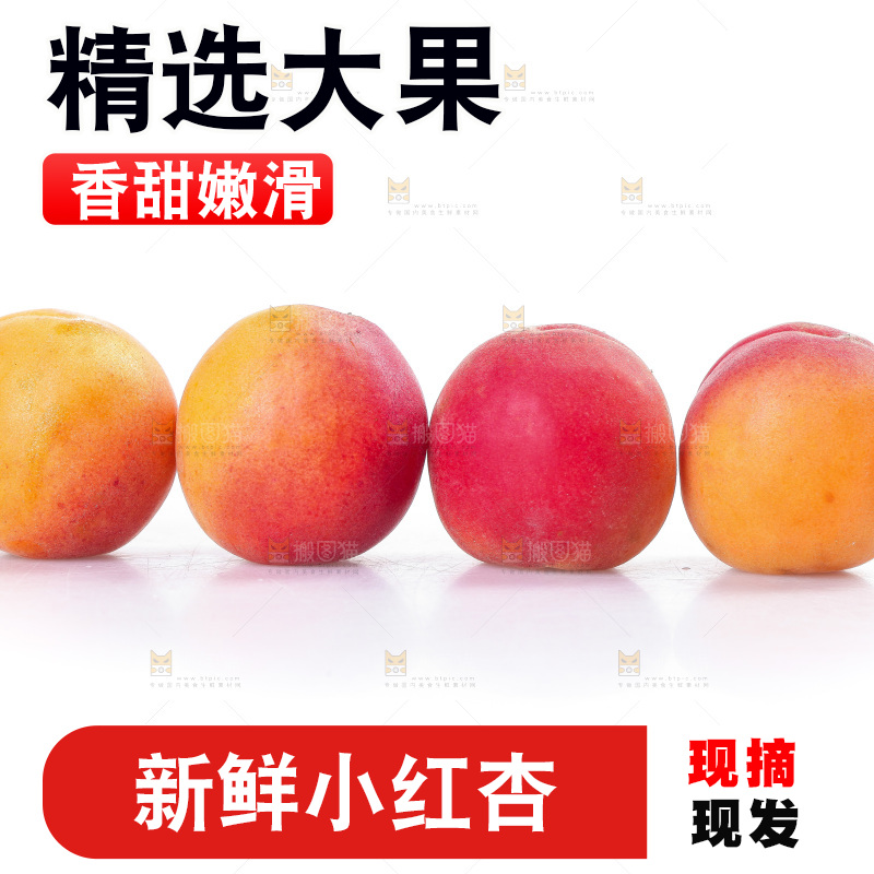 白底上放着小红杏