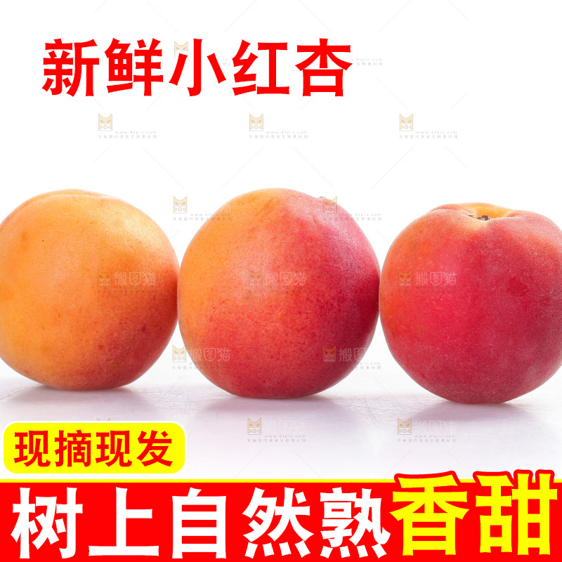 白底上放着小红杏