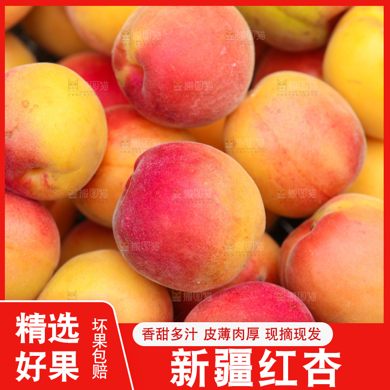 小红杏纹理