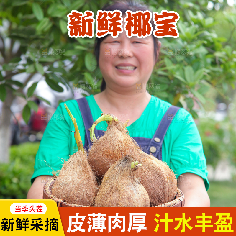 女人手里端着一篮新鲜椰宝