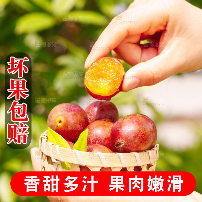 手里拿着新疆西梅