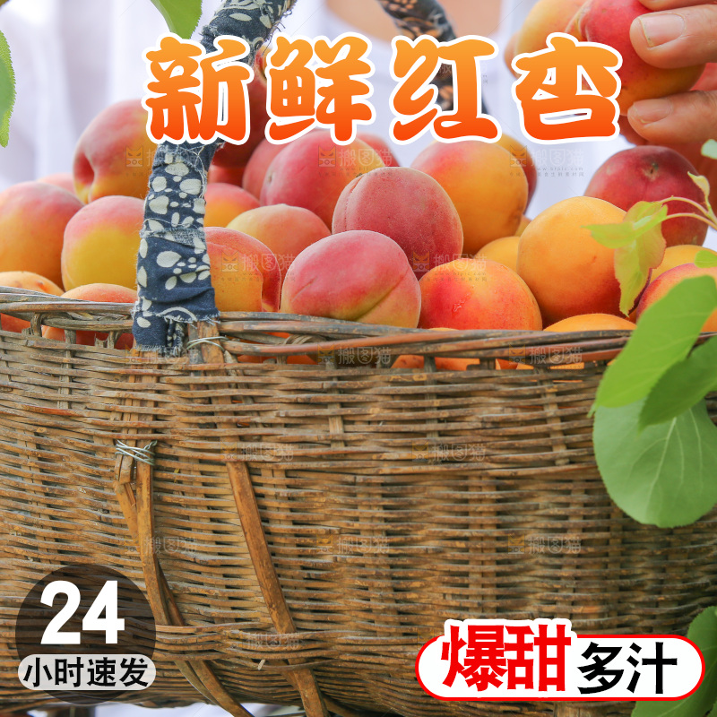 一篮新疆小红杏