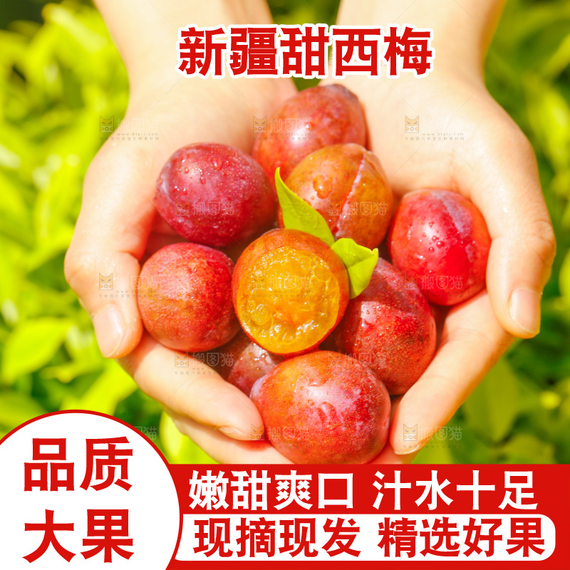 手里捧着西梅