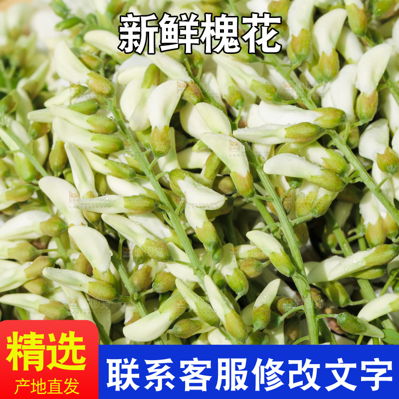 新鲜野生槐花