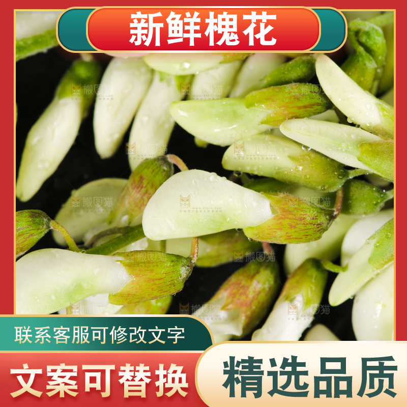 洋槐花纹理