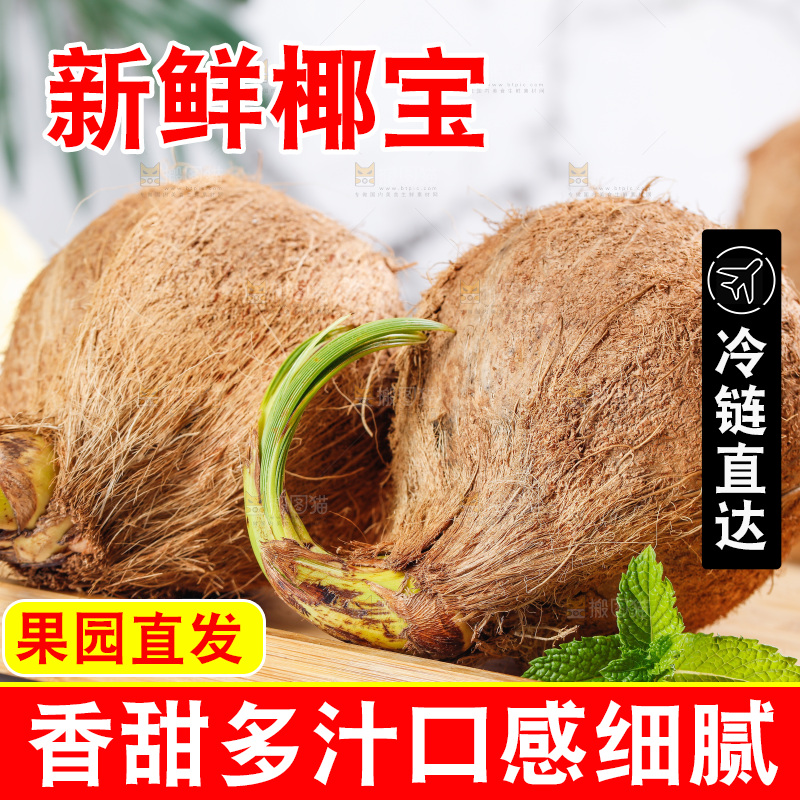 木盘里放着海南椰宝