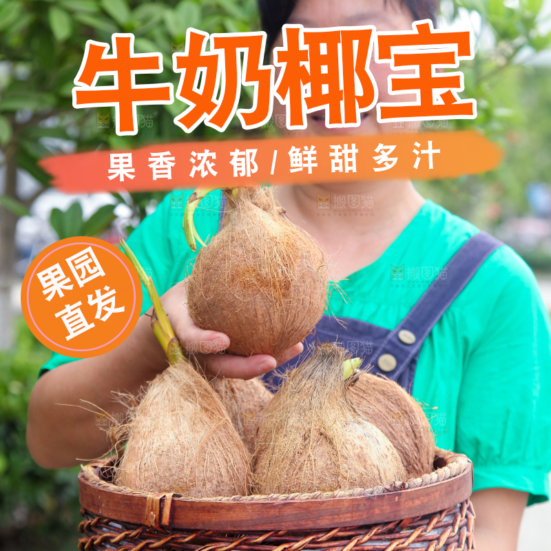 女人手里拿着椰宝