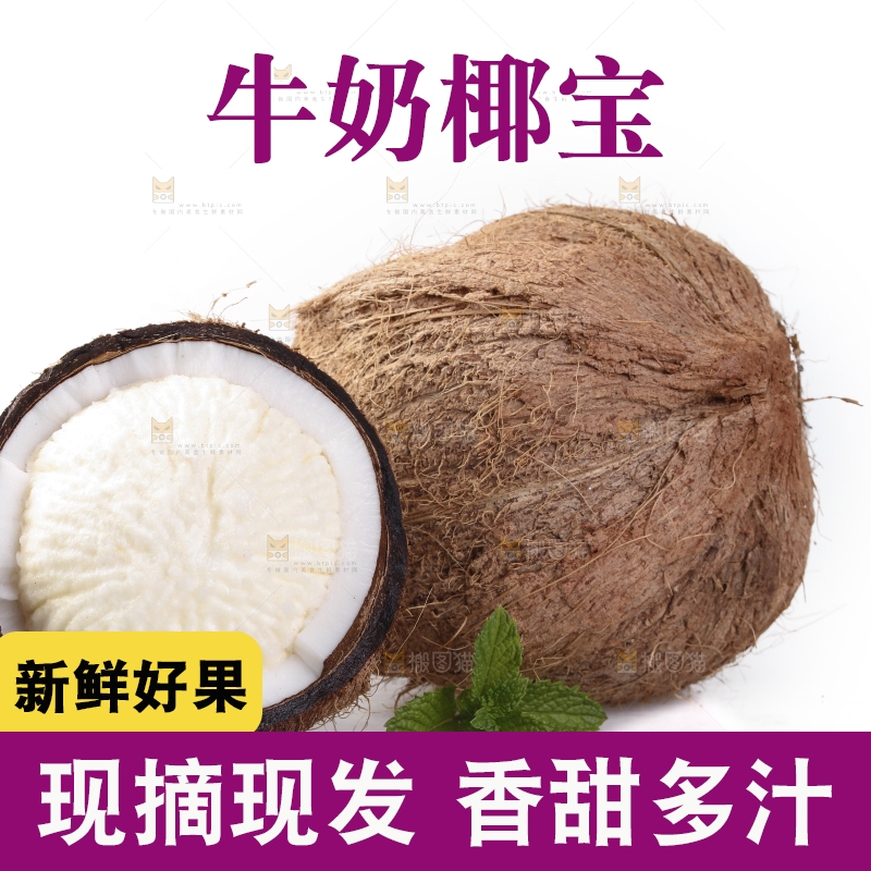 白底上放着椰宝