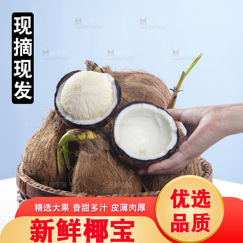 白底上放着一篮椰宝