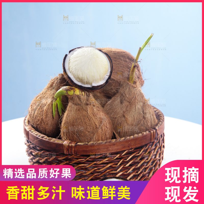 桌上放着一篮新鲜椰宝