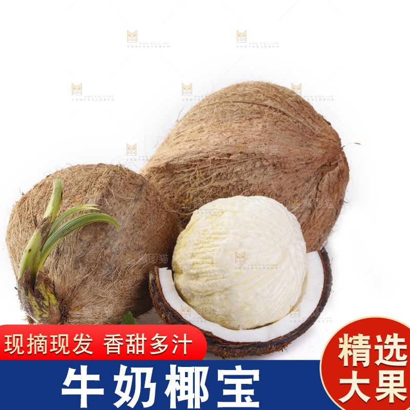 白底上放着椰宝