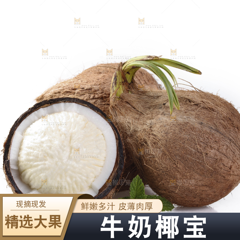 白底上放着椰宝