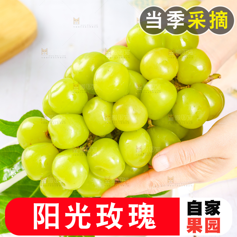 阳光玫瑰青提主图