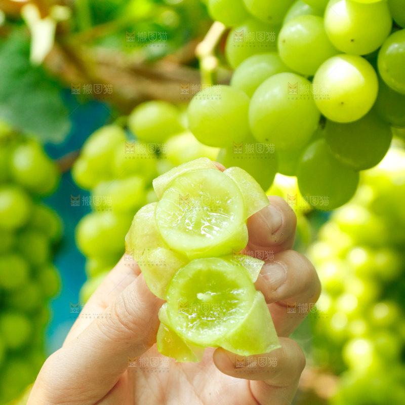 手里拿着阳光玫瑰