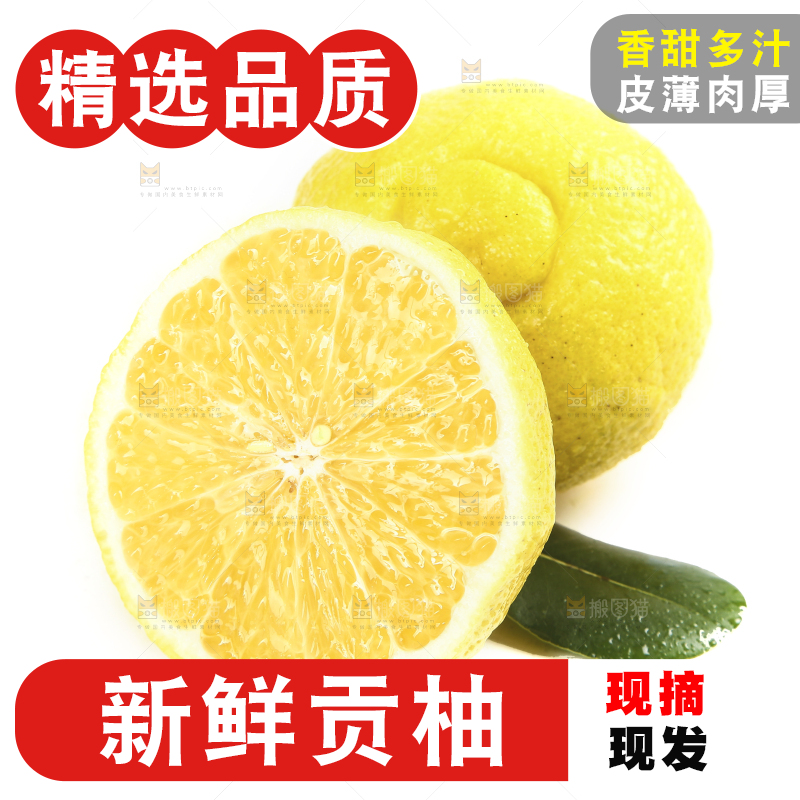 白底上放着贡柚