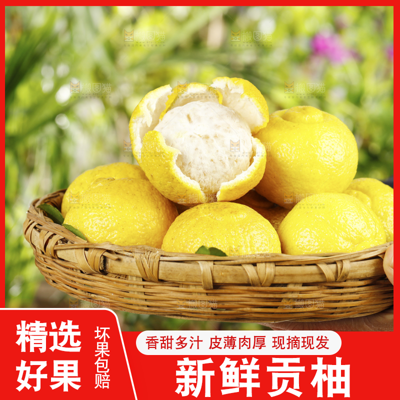 手里端着一篮怀化黄金贡柚