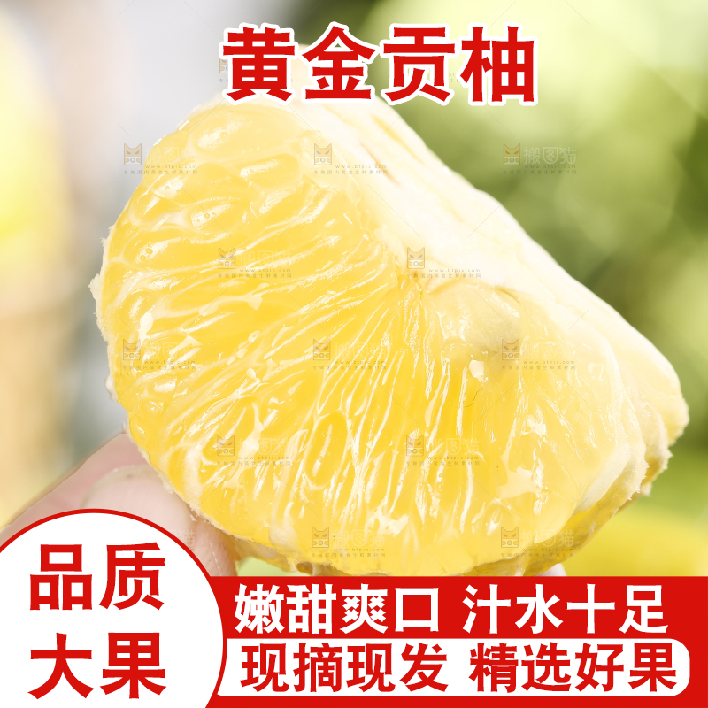 手拿贡柚果肉