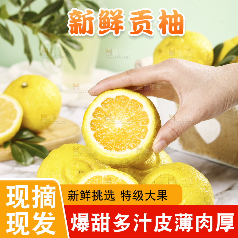 手拿着怀化黄金贡柚
