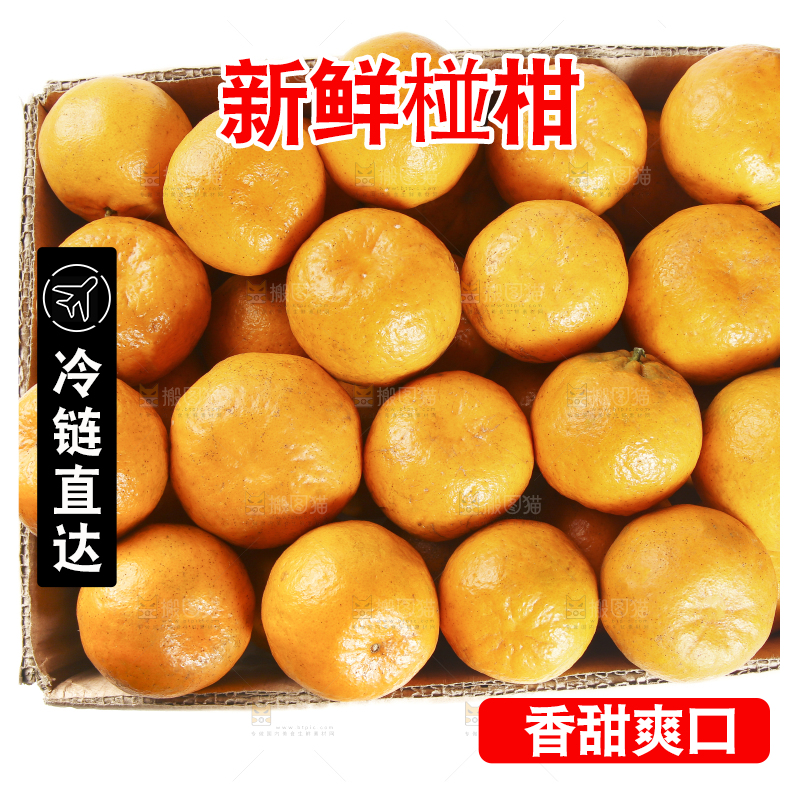 白底上放着一箱椪柑