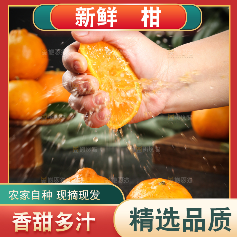 手里爆汁的椪柑
