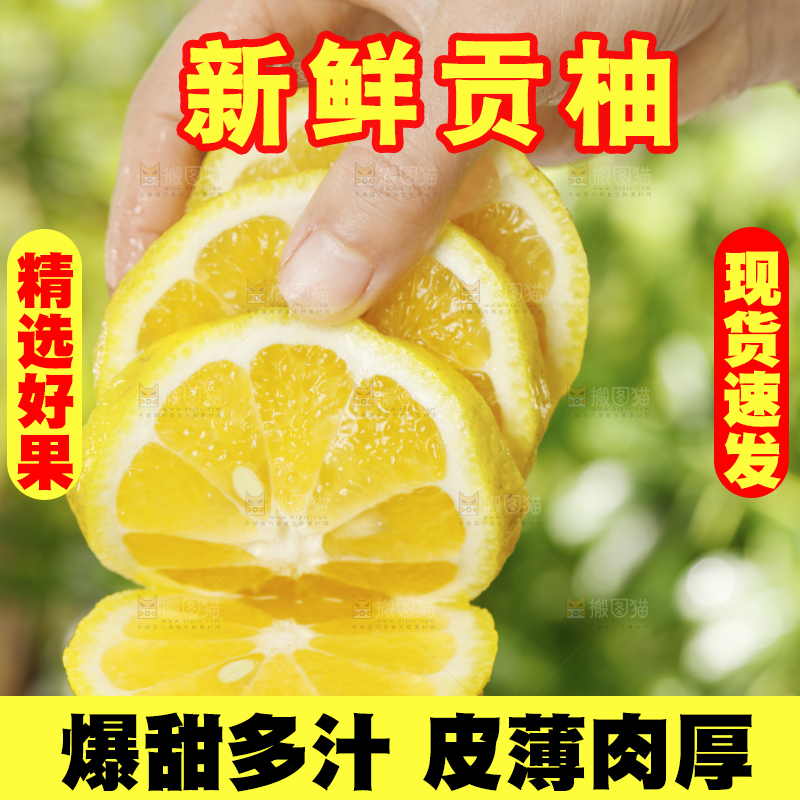 手里拿着切开的黄金贡柚