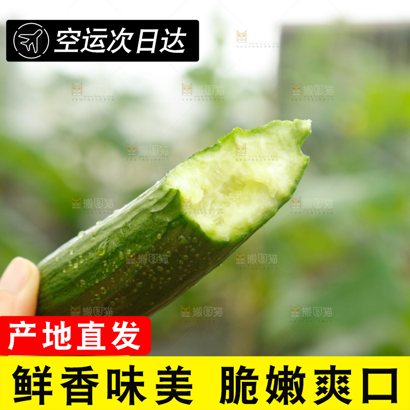 手里拿着掰开的黄瓜