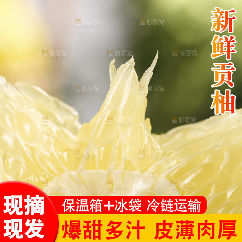 贡柚果肉特写