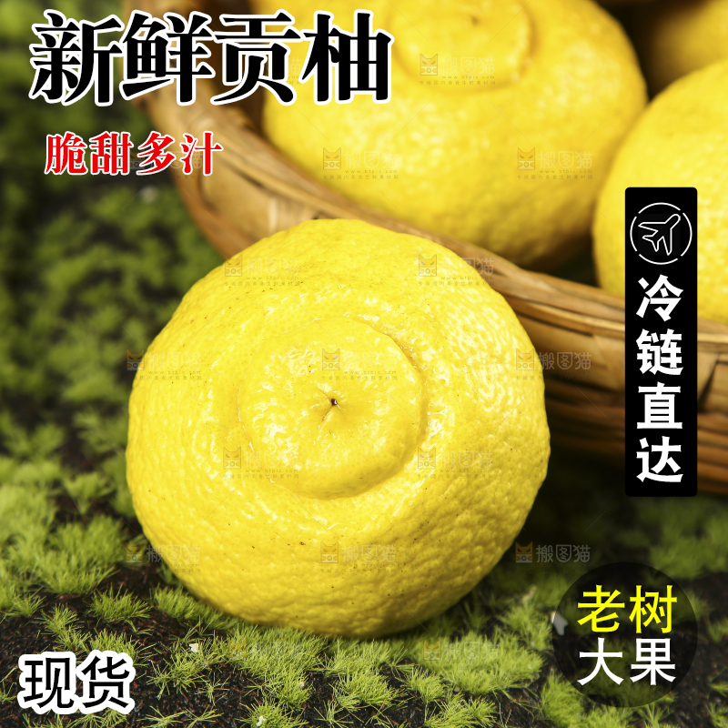 草地上放着黄金贡柚