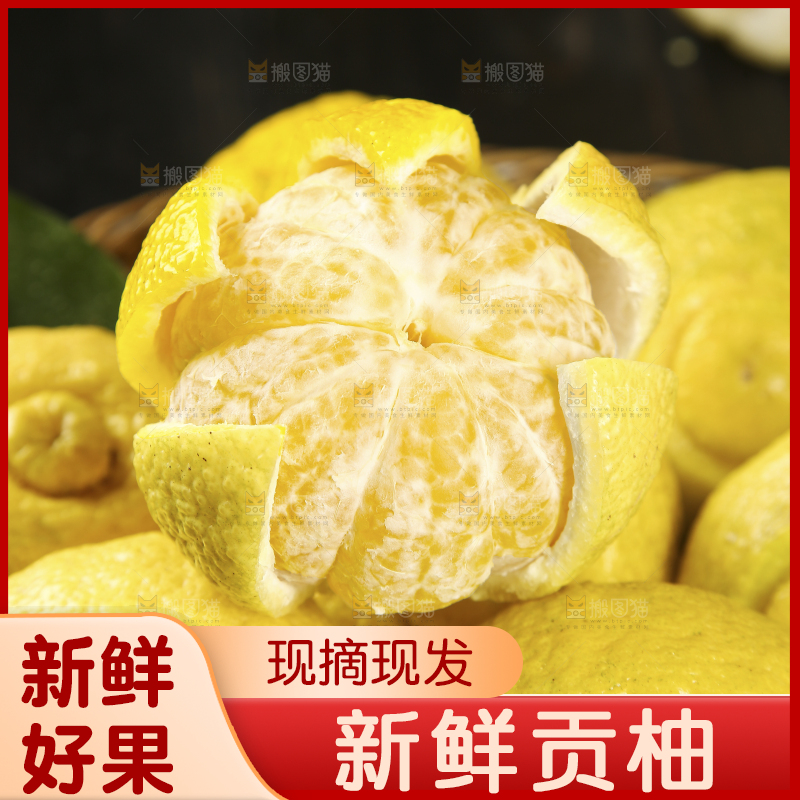 堆放黄金贡柚特写