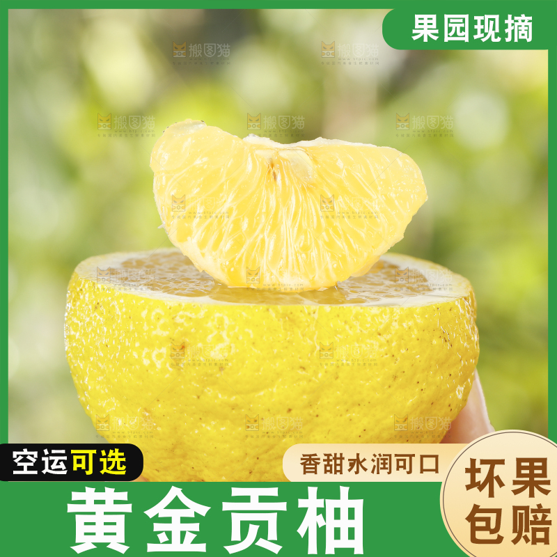 手里拿着贡柚