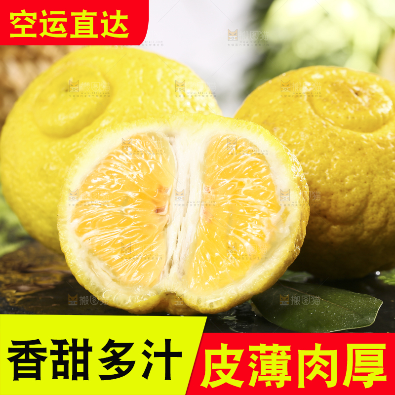 黑底上摆放着黄金贡柚