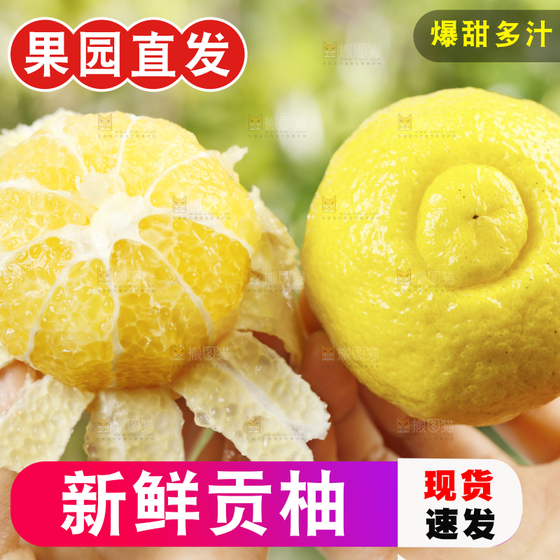 手里拿着贡柚