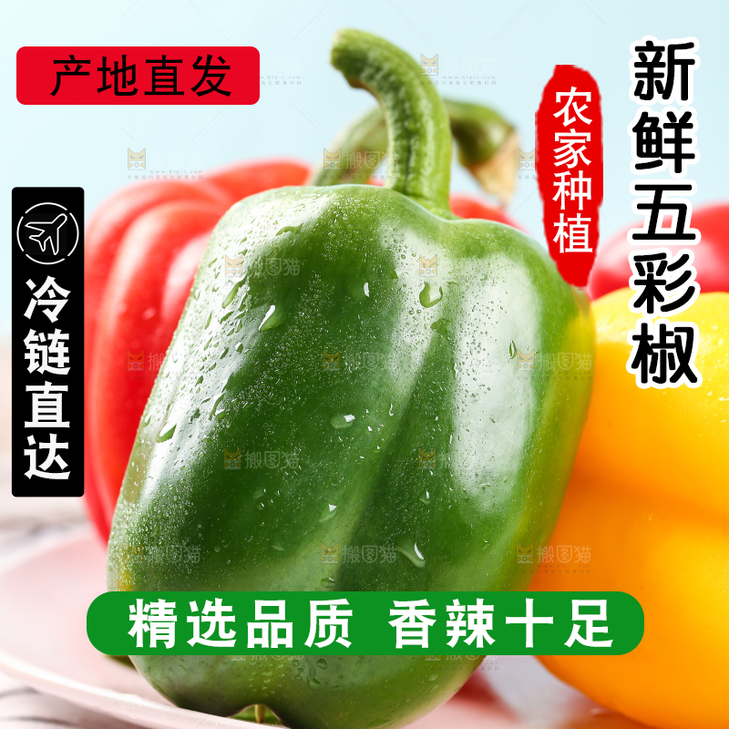 格子布上放着一盘五彩灯笼椒