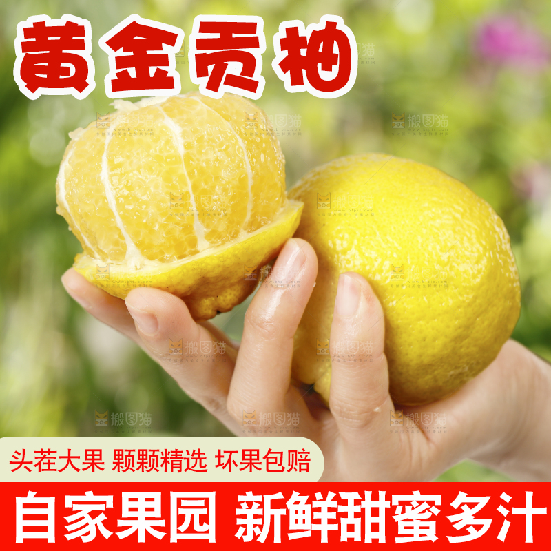 手里拿着贡柚