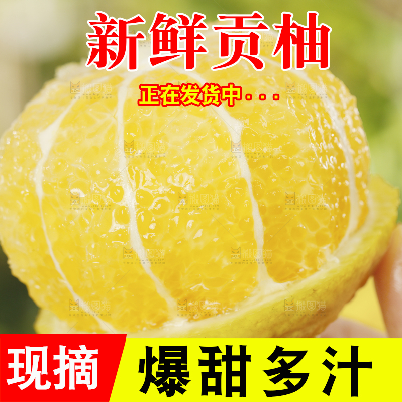手里拿着贡柚果肉