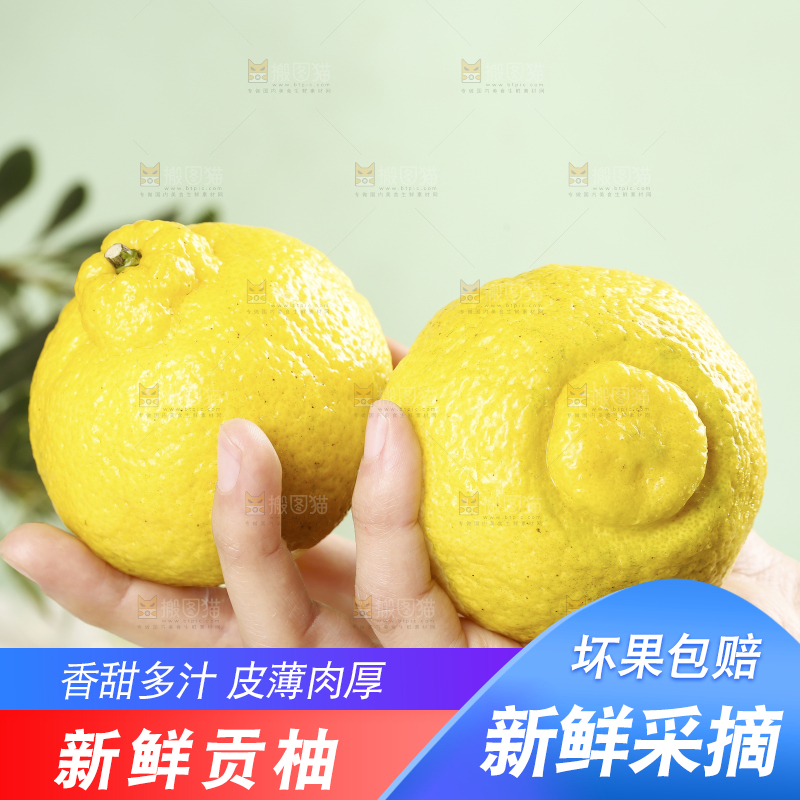 手拿着怀化黄金贡柚