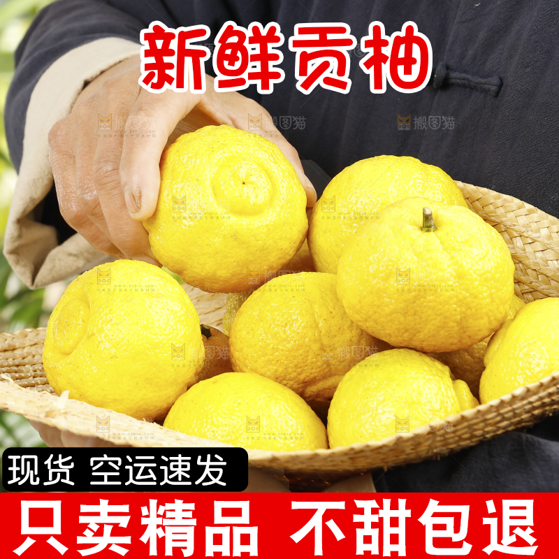 草帽里装着黄金贡柚