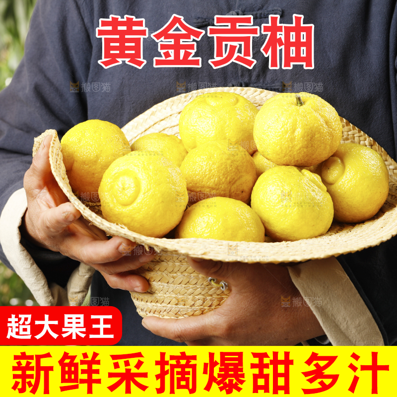 草帽里装着黄金贡柚