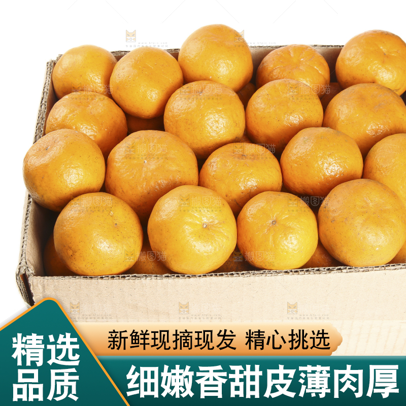 白底上放着一箱椪柑橘