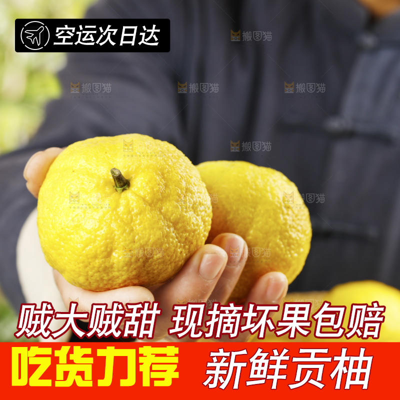 手里拿着贡柚