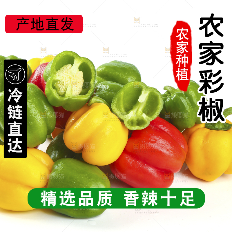 白底上放着一堆五彩灯笼椒