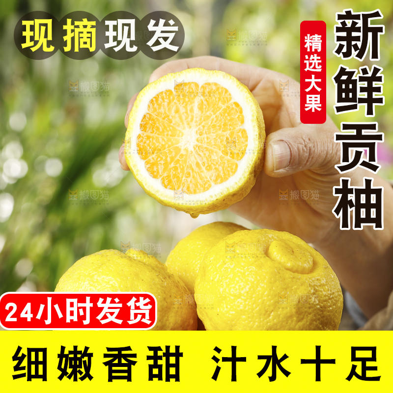 手里捧着黄金贡柚