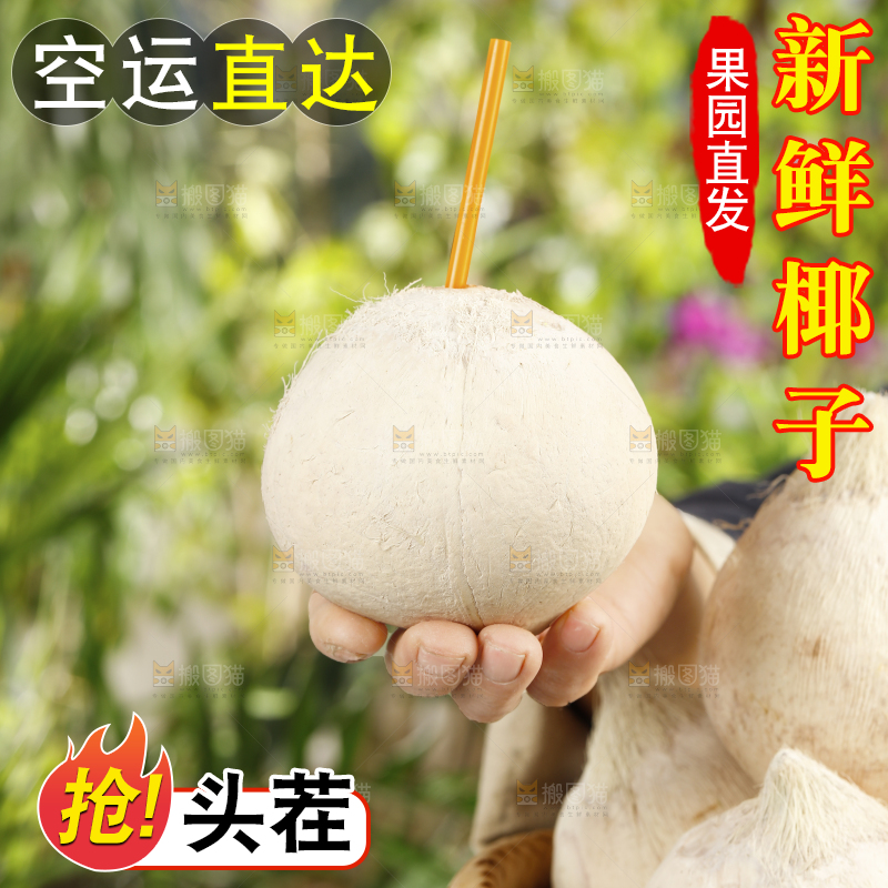 手里拿着椰子