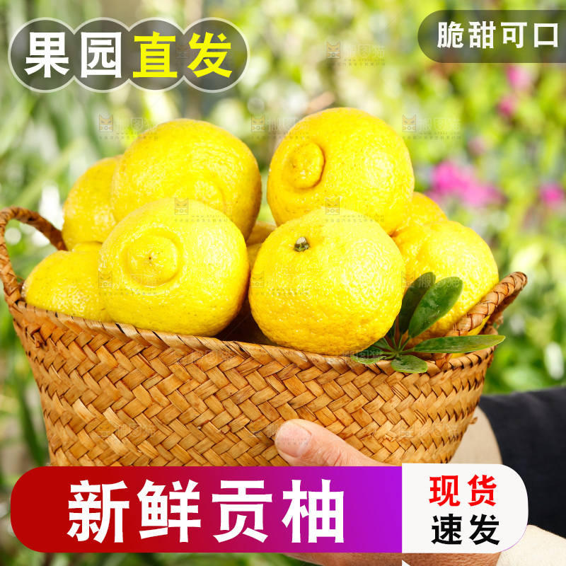 手里端着一筐怀化黄金贡柚