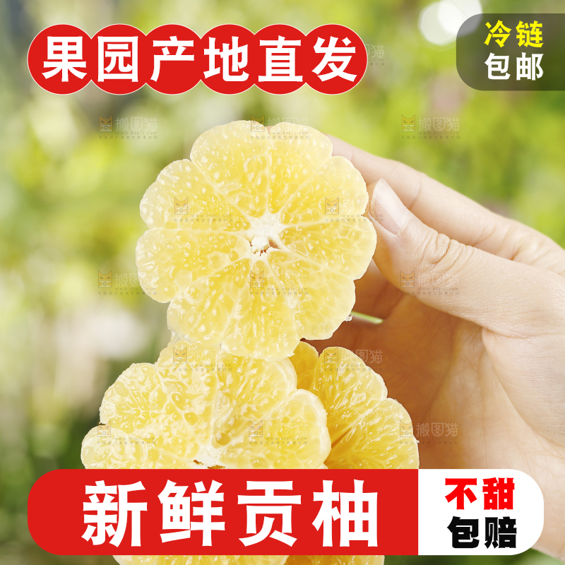 手里拿着贡柚果肉