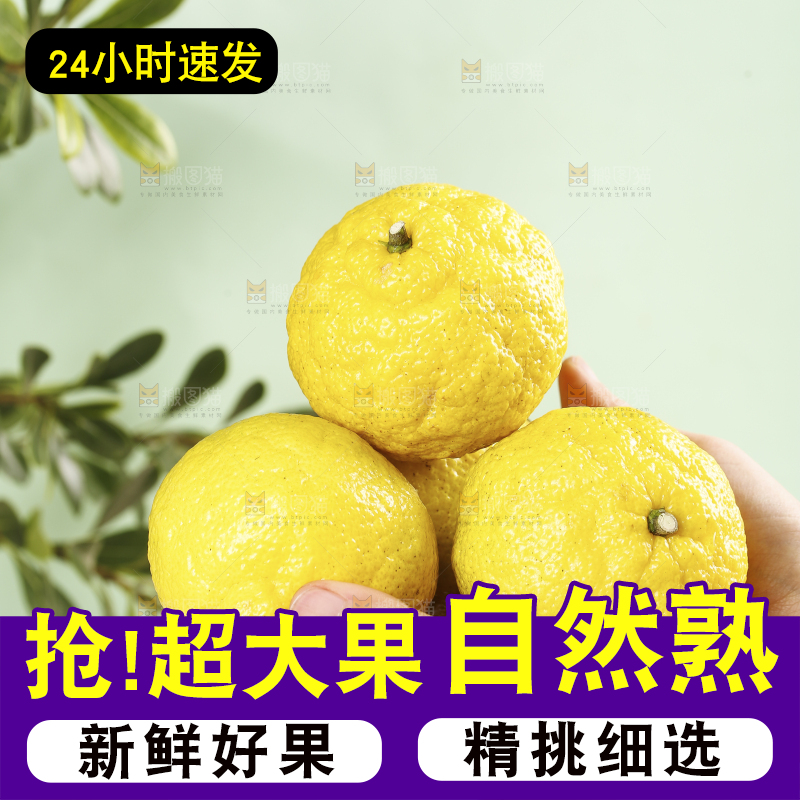 手里捧着贡柚