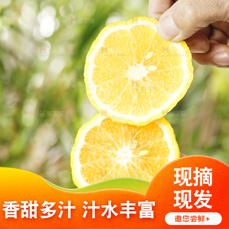 手里拿着湖南黄金贡柚
