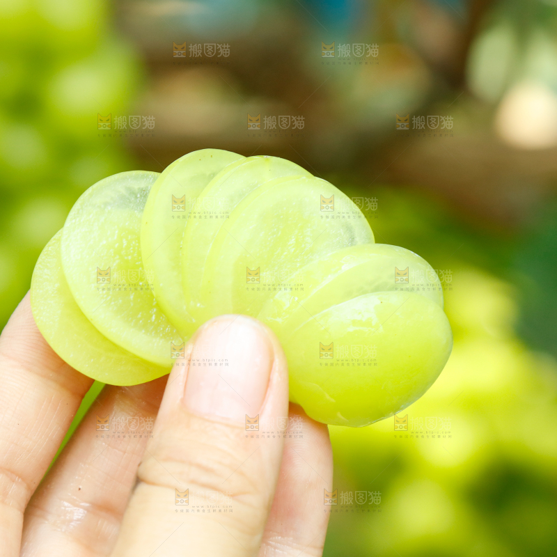 切片的阳光玫瑰葡萄