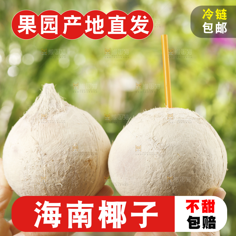 手里拿着椰皇