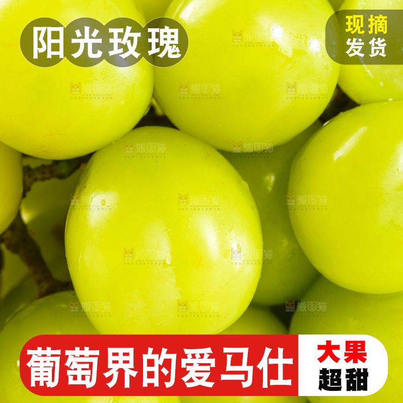 阳光玫瑰纹理